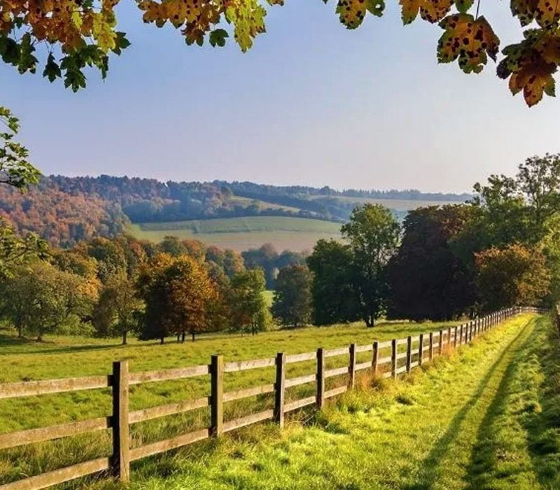 Moving to the Countryside - Horse Farms Ontario